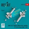 RESKIT RS48-0518 AGM-142 Popeye 2/Have Lite missiles (2 pcs) (3D Printed) 1/48